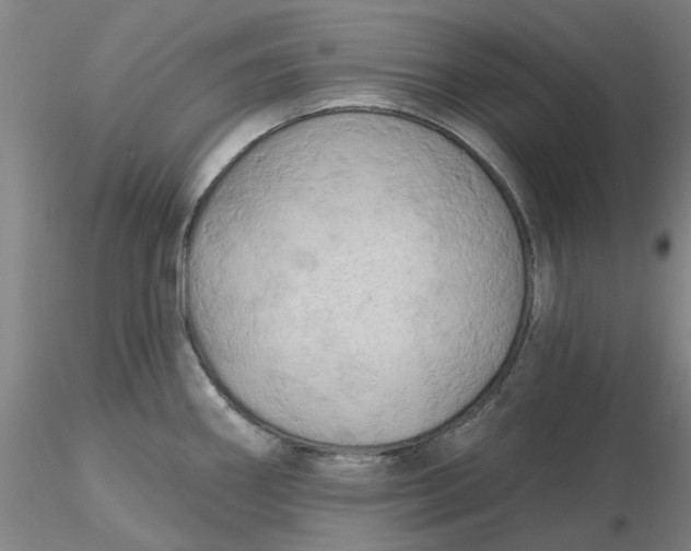 X0000116281290200912211811