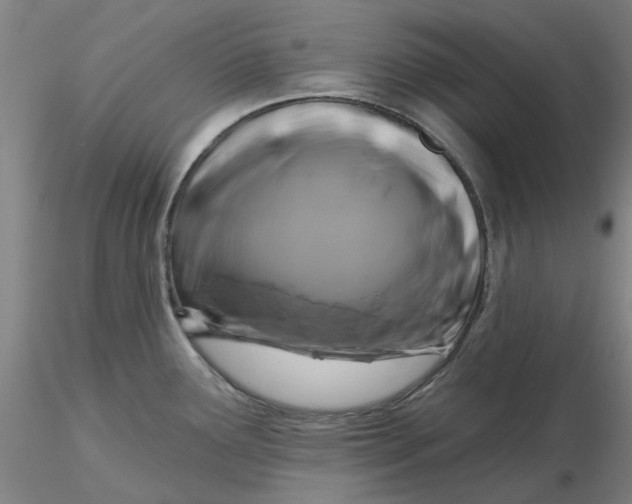 X0000116281291200912211811