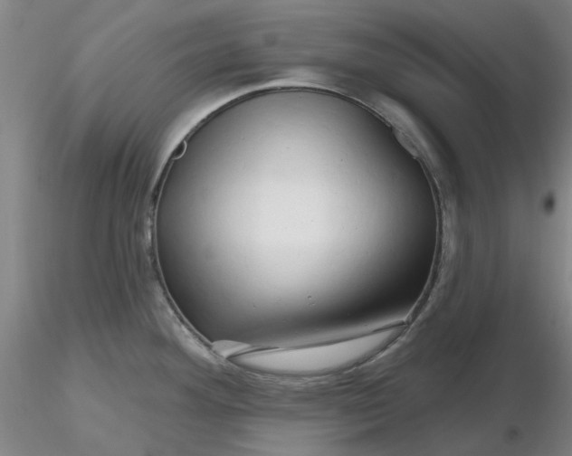 X0000116281292200912211811