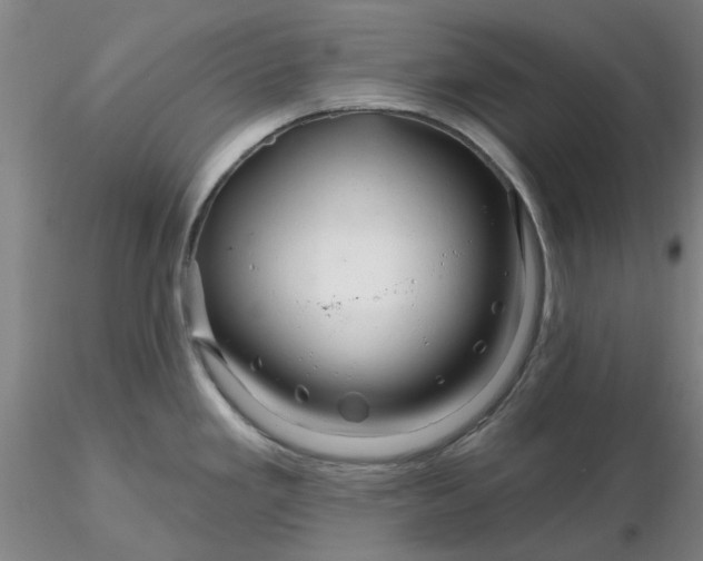 X0000116281293200912211811