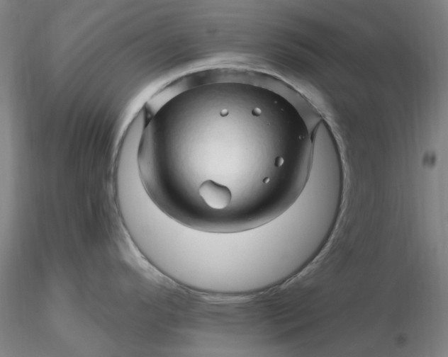 X0000116281296200912211811