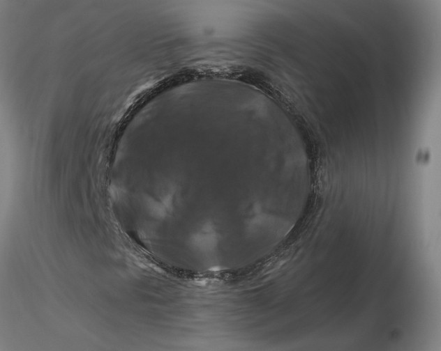 X0000116281297200912211810