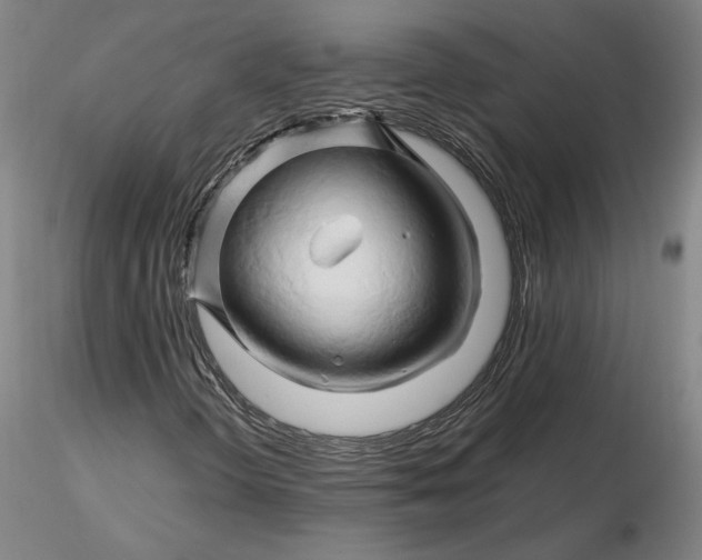 X0000116281298200912211810