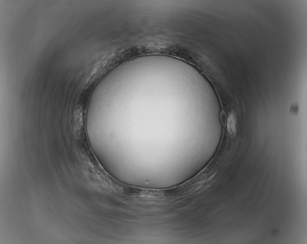 X0000116281299200912211810