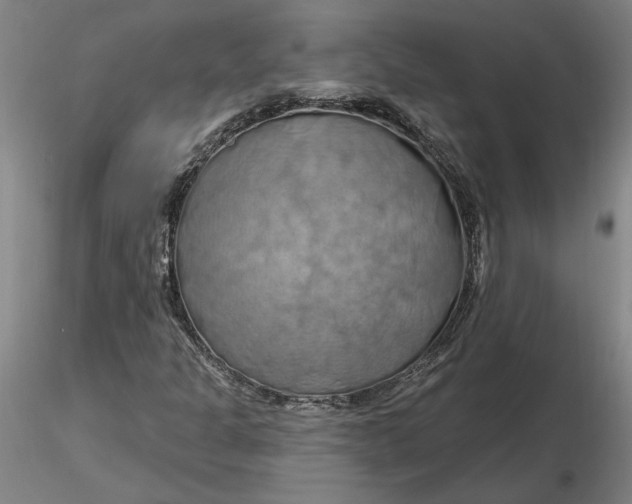 X0000116281301200912211811