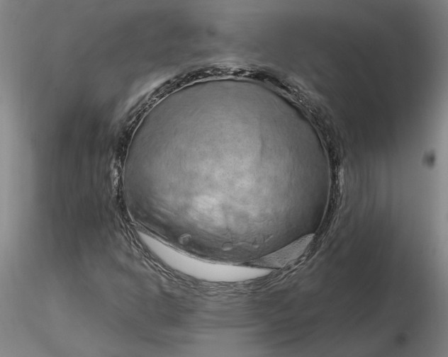 X0000116281302200912211811