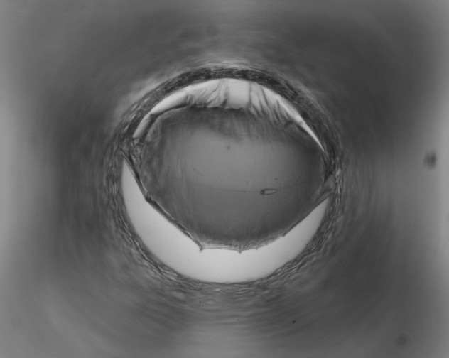 X0000116281303200912211811