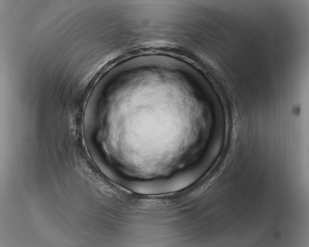 X0000116281305200912211811