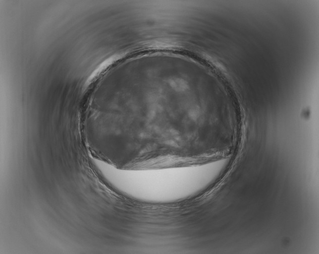 X0000116281306200912211811