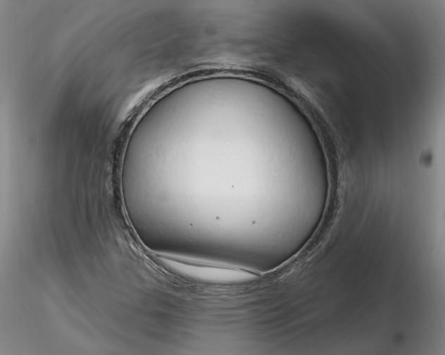 X0000116281307200912211811