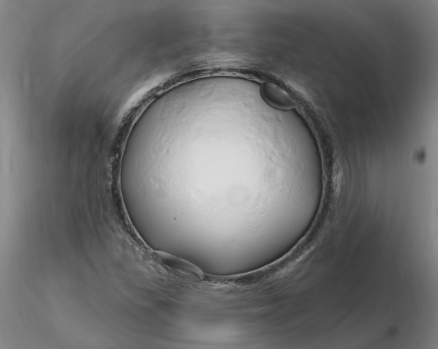 X0000116281309200912211811