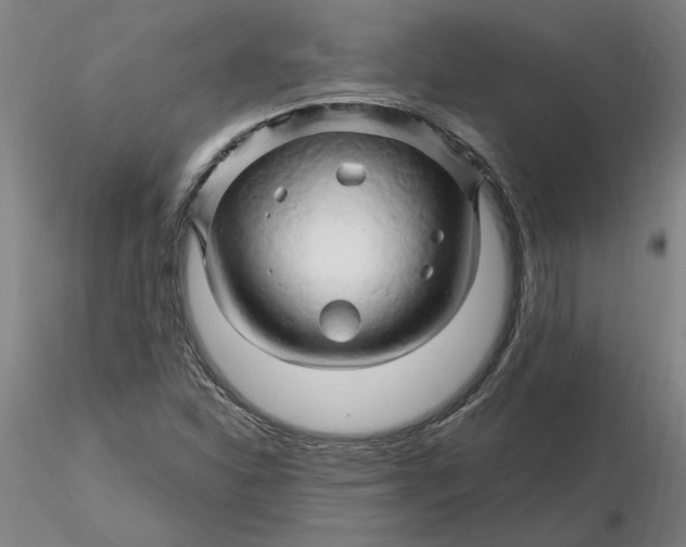 X0000116281310200912211811