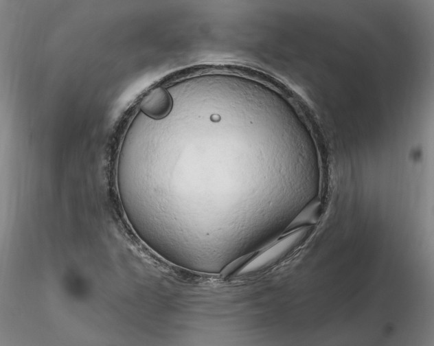 X0000116281311200912211811