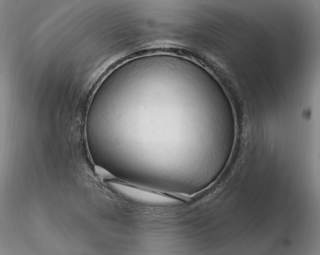 X0000116281313200912211811