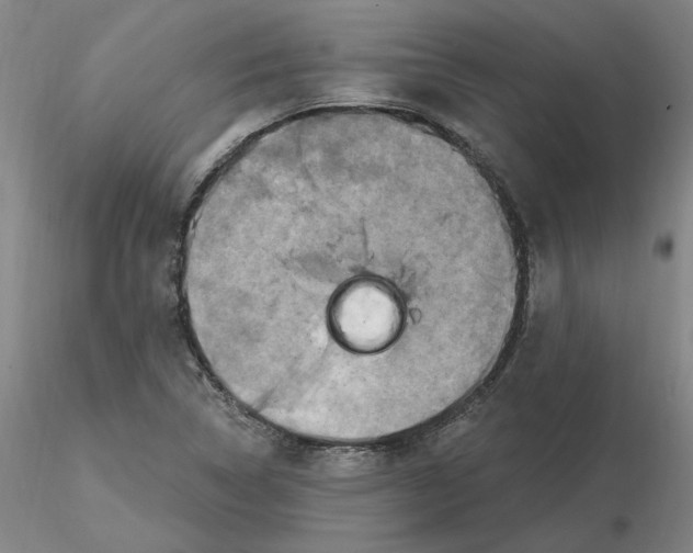 X0000116281314200912211811