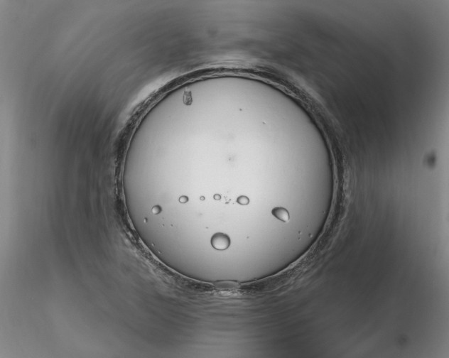 X0000116281315200912211811