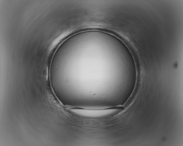 X0000116281317200912211811