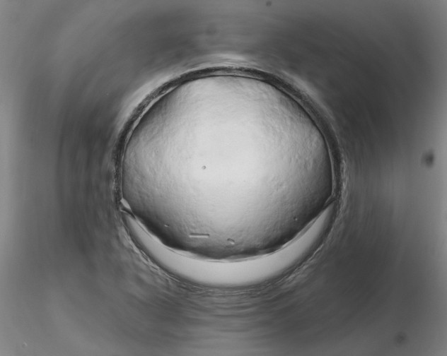 X0000116281318200912211811