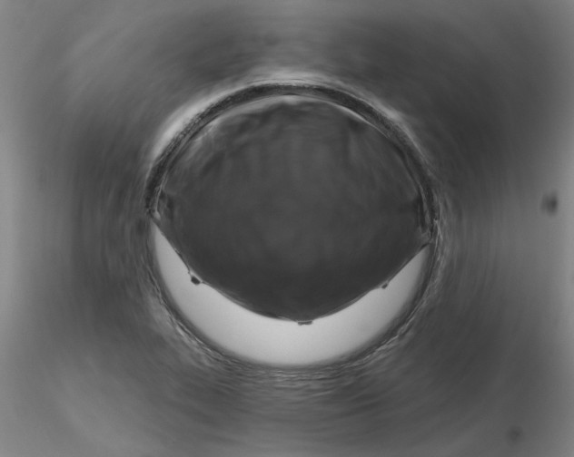 X0000116281319200912211811