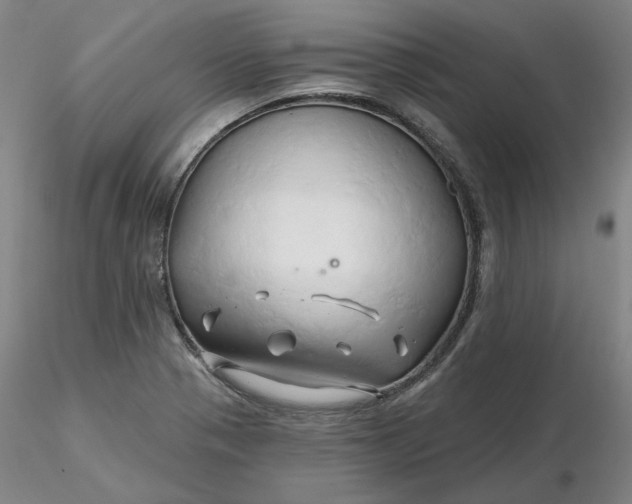 X0000116281321200912211811