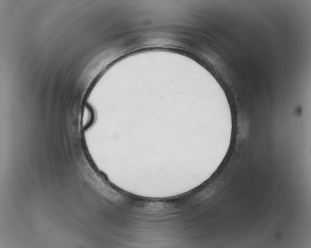 X0000116281322200912211811