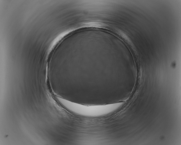 X0000116281323200912211811