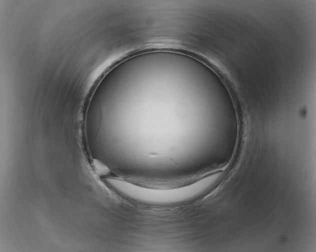 X0000116281325200912211811