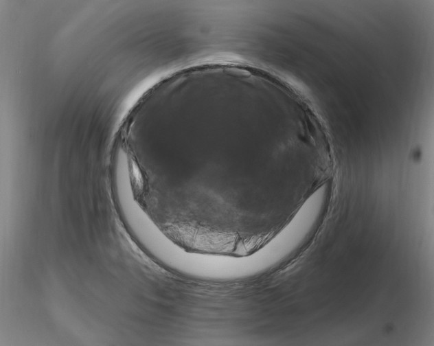 X0000116281326200912211811