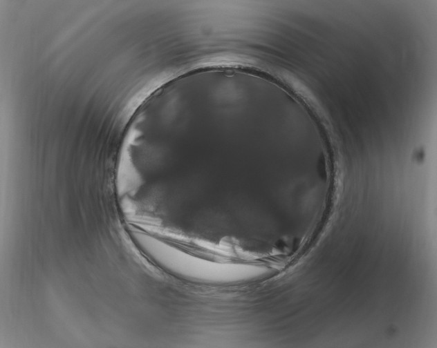 X0000116281329200912211811