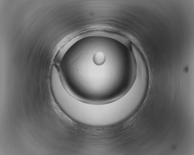 X0000116281330200912211811