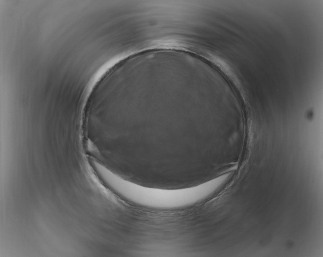 X0000116281331200912211811