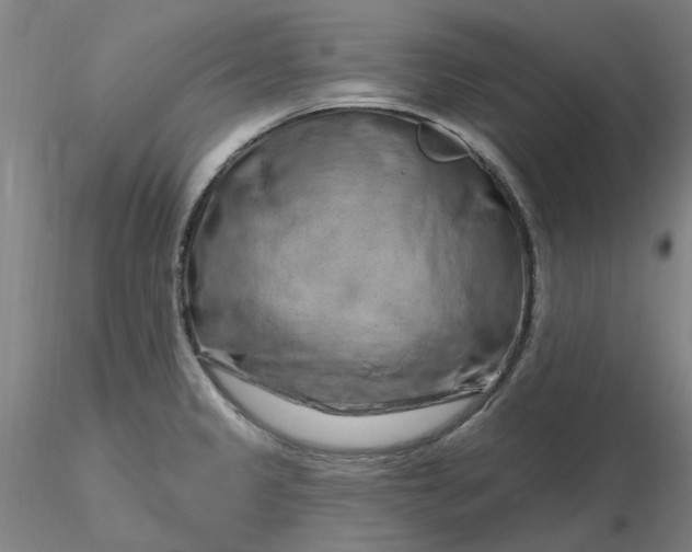 X0000116281333200912211811