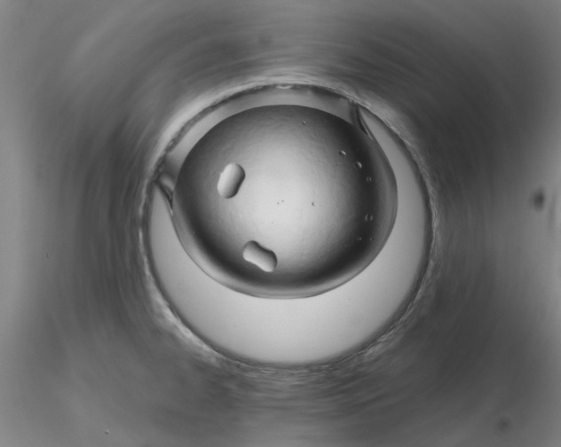 X0000116281334200912211811