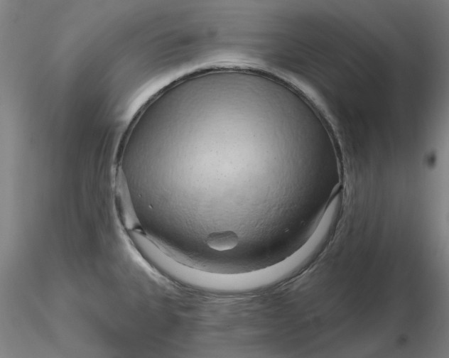 X0000116281335200912211811