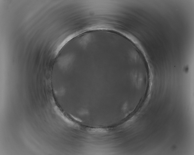 X0000116281337200912211811