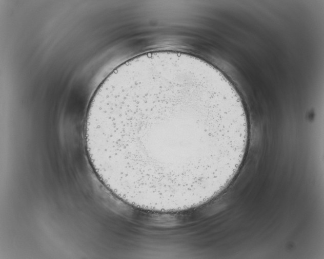 X0000116281338200912211811