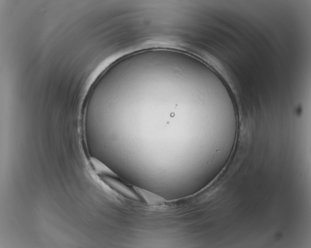 X0000116281339200912211811