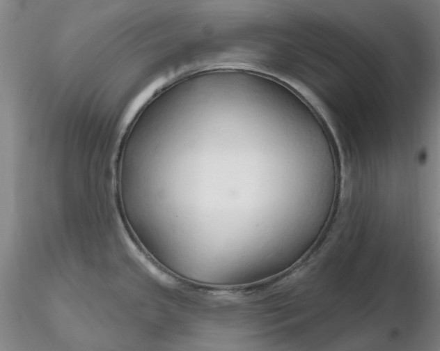 X0000116281341200912211811