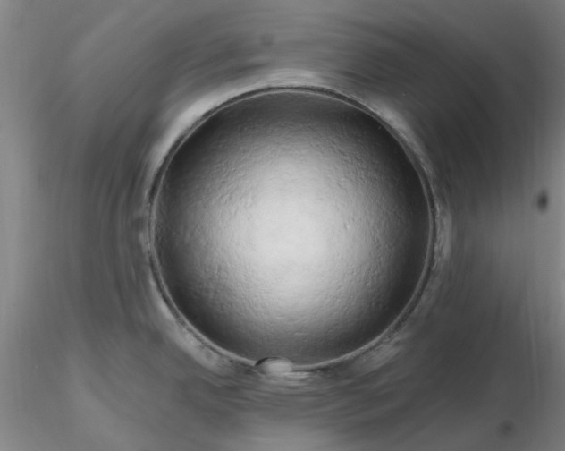 X0000116281342200912211811