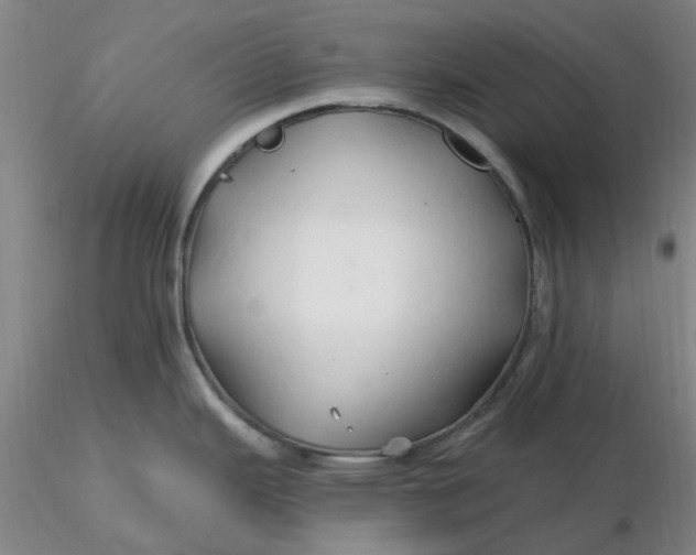 X0000116281343200912211811