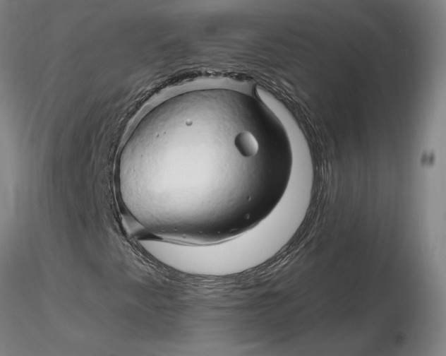 X0000116281345200912211810