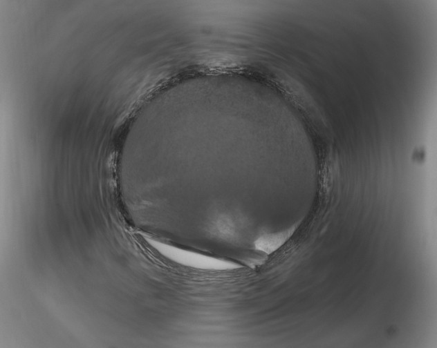 X0000116281346200912211810