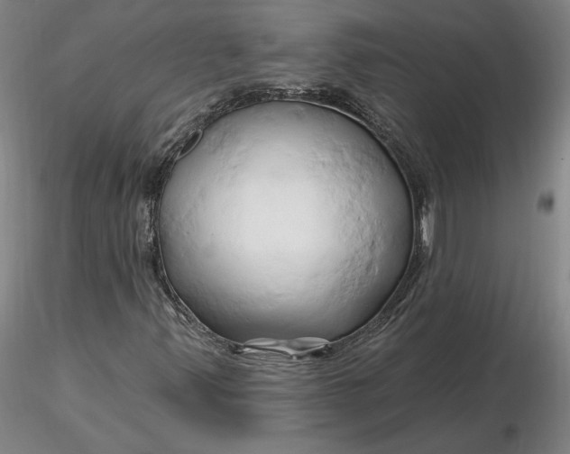 X0000116281347200912211810