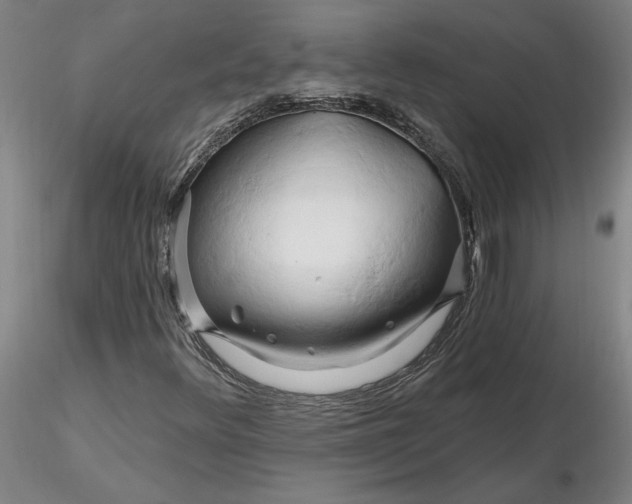 X0000116281348200912211810