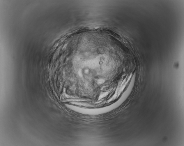 X0000116281349200912211810