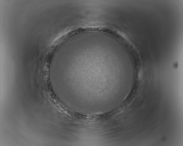 X0000116281350200912211810