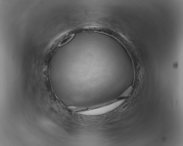 X0000116281351200912211810