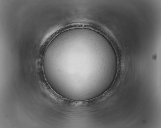 X0000116281352200912211810