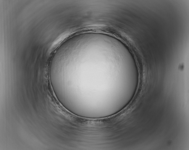 X0000116281354200912211810