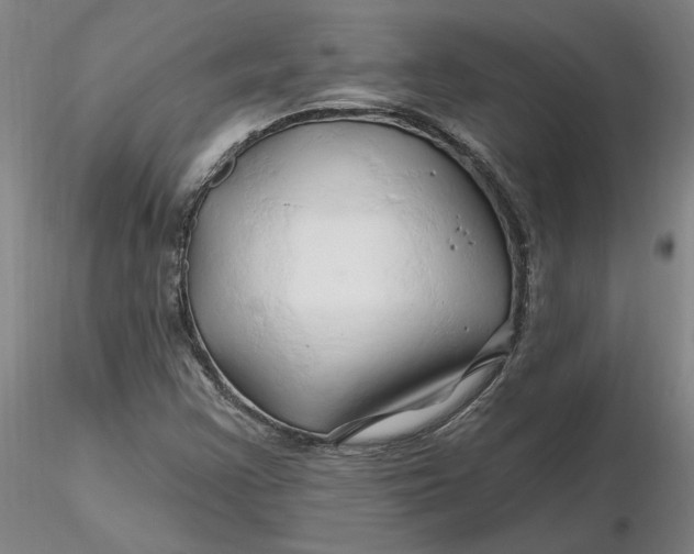 X0000116281355200912211810